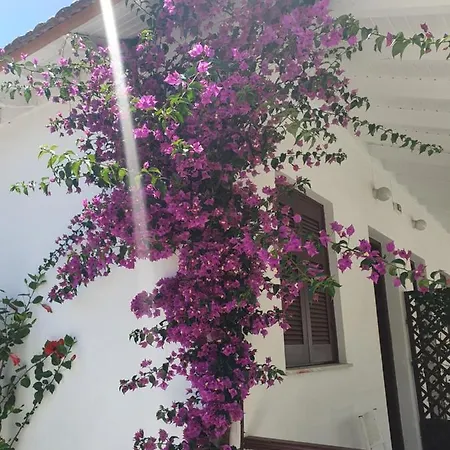 Daglas Seaside
