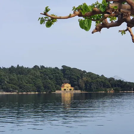 Apartment Daglas Seaside Nydri (Lefkada)